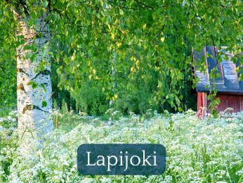 Liikunta