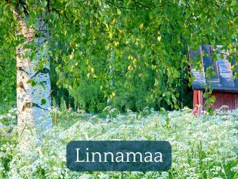 Linnamaa