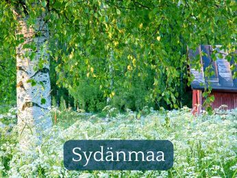 Sydänmaa