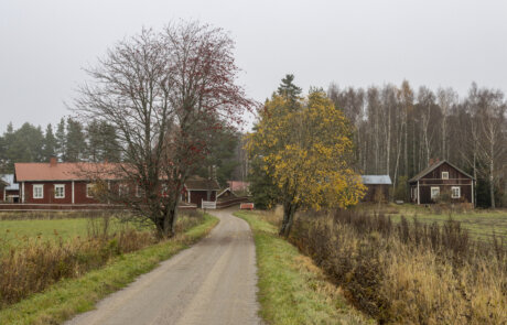 Hanninkylä © Matti LUOTOLA